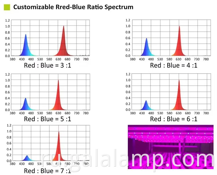 Выращивать саженцы, добавка света для роста, полный спектр T5 Light Light